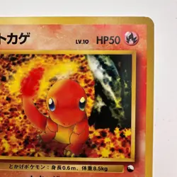 Charmander No.004 Vending Series 1 Old back Vintage Glossy Pokemon Card (578) - Image 3