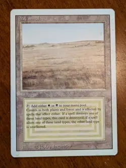 6x Revised Dual Lands (Magic The Gathering) Dutch Auction (Read Description) - Image 5