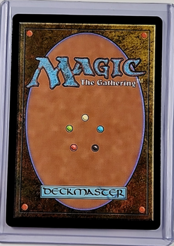 MTG Magic The Gathering OTJ Extended Art Foil #351 Ghired Mirror of the Wilds - Image 2