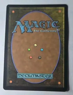 Forest (0892) - MTG Rainbow FOIL - Secret Lair SLD - NM - Image 2