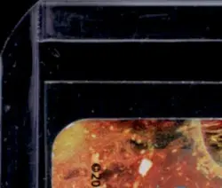 2013 POKEMON XY PROMOS #XY198 MEGA CAMERUPT - Image 3