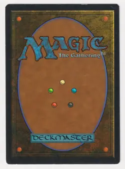 Signed Soul Net HP Revised Edition Artist Dameon Willich 1994 MTG Magic Vintage! - Image 2