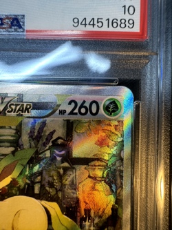 PSA 10 Leafeon 210/172 Glaceon 217/172 SAR VSTAR Universe Pokemon Card Japanese - Image 4
