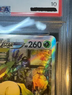 PSA 10 Leafeon 210/172 Glaceon 217/172 SAR VSTAR Universe Pokemon Card Japanese - Image 5