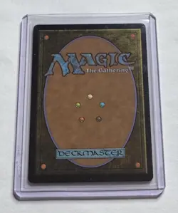 Scoured Barrens #266 Foundations Foil Land MTG NM/M - Image 2