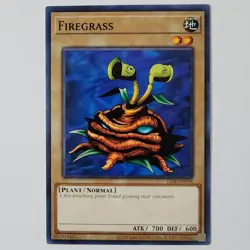 Firegrass - LOB-EN018 - NM - Common - Unlimited - Yugioh - 25th - Image 1