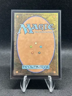 MTG Court of Garenbrig (033) *Non-Foil* Extended Art Wilds of Eldraine WOC MT/NM - Image 2