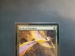 Birds of Paradise MN Core M12 MTG FREE SHIPPING - Image 2