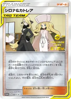 Pokemon Card Cynthia Caitlin P 088/S-P promo Promo Japanese - Image 1