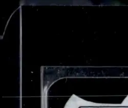 2020 MAGIC THE GATHERING DOUBLE MASTERS #008 AVACYN, ANGEL OF HOPE FOIL - Image 3