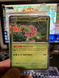 Pokemon Mega Evolution Prerelease STAFF Promo (Set of 4) SEALED - Image 1