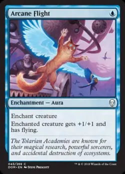 Arcane Flight -Foil Light Play MTG Dominaria - Image 1