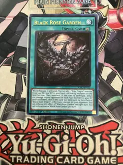 Black Rose Garden Ultra Rare DOOD-EN055 Yugioh Black Rose Dragon - Image 1