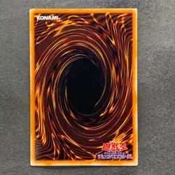 NM 3 card Black Skull Dragon RB-18 Ultra Rare YuGiOh 810 - Image 5