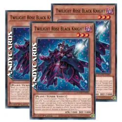 TWILIGHT ROSE BLACK KNIGHT 3x • Comune • DOOD EN005 • 1Ed • Yugioh! • ANDYCARDS - Image 1