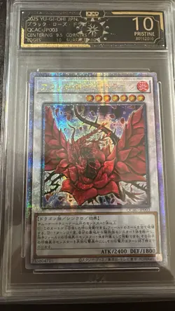 Pair of Black Rose Dragon QCAC-JP003 QCSR yu gi oh 10 grade OCD RPA not PSA - Image 3