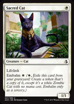 Sacred Cat - Medium Play MTG Amonkhet - Image 1