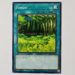 Forest - LOB-EN046 - LP - Common - Unlimited - Yugioh - 25th - Image 1
