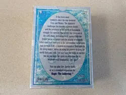 VTG MTG Ice Age Empty Starter Deck Box with Rule Book NO CARDS - 1995 - Image 3