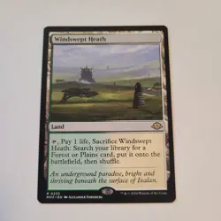 Magic the Gathering - Windswept Heath - Modern Horizons 3 - NM (Near Mint) - Image 1