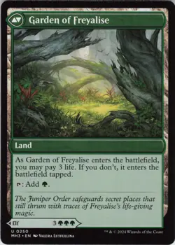 Disciple of Freyalise U Modern Horizons 3 250 NM Normal MTG - Image 2