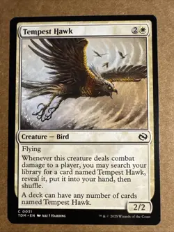 Tempest Hawk Tarkir: Dragonstorm Regular - Image 1