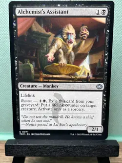 MTG TCG: Alchemist's Assistant 71, Tarkir: Dragonstorm - Image 1