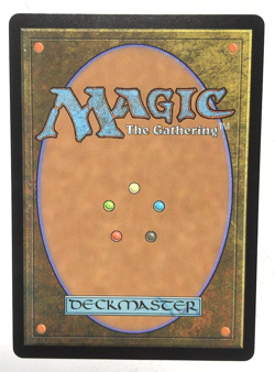 Windswept Heath 235 Modern Horizons 3 MTG Magic the Gathering NEAR MINT NM - Image 2