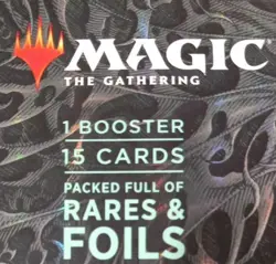 Magic The Gathering - SEALED Duskmourn: House of Horror Collector Booster - Image 3