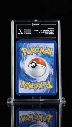 Pokemon TAG 7 Umbreon (Team Plasma) 64/116 Plasma Freeze Reverse Holo - Image 2