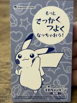 2016 Poncho Pikachu Charizard X Mega Business Card Japanese Pokemon Center Promo - Image 4