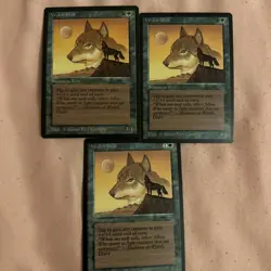 Ali Baba Arabian Nights Regular - Image 5