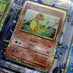 Bulbasaur Charmander Squirtle Charmeleon Ivysaur Wartortle Classic Set ACE10 6x - Image 4