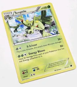 Sceptile Holo Rare Plasma Freeze 8/116 Holo pokemon NM - Fast Shipping - Image 3
