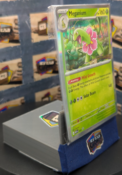 Mega Evolution 🧬 Prerelease MEG 001/002/003/004 STAFF PROMO PACK SEALED - Image 3