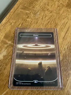 MTG Plains (Borderless) Unfinity 24 Mint - Image 1
