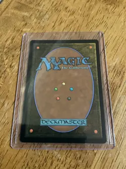 MTG Plains (Borderless) Unfinity 24 Mint - Image 2