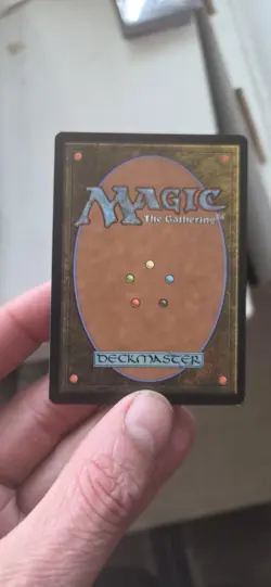 53 Lorwyn Party Swamp Basic Land 291/301 MTG Magic The Gathering Cards - Image 4