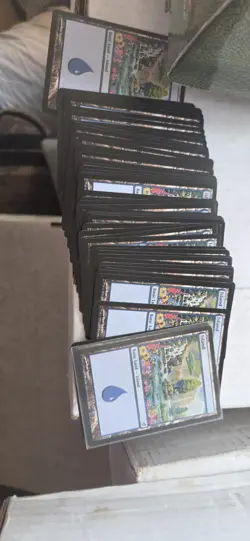 52 Lorwyn Party Island Basic Land 287/301 MTG Magic The Gathering Cards - Image 1