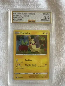 Morpeko Holo Black Star Promo Card SWSH031 Sword & Shield 2020 AGS 9.5 Mint+ - Image 1