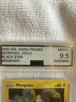 Morpeko Holo Black Star Promo Card SWSH031 Sword & Shield 2020 AGS 9.5 Mint+ - Image 3