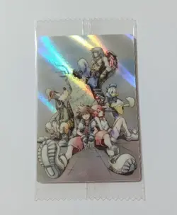 Kingdom Hearts Metallic Placard No.06 Visual Card Card Wafers First Edition KING - Image 1