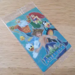 Kingdom Hearts Card No. 21 Metallic Placard Wafers 1st Edition - Image 2