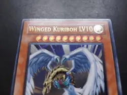 Yugioh - Winged Kuriboh LV10 CRV-EN005 Ultimate Rare 1st Edition - Image 4