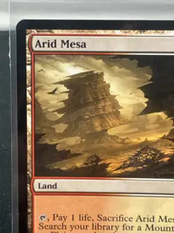 Magic The Gathering: Arid Mesa Zendikar Regular - AM2 - Image 3