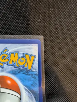 Pokemon TCG Bloodmoon Ursaluna 216/167 Twilight Masquerade Ultra Rare - Image 3