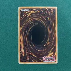 Yugioh! Twilight Rose Black Knight DOOD-EN005 COMMON Doom of Dimensions - Image 2