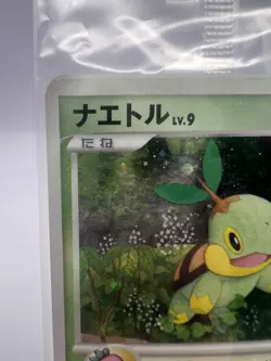 Pokemon Card Turtwig Chimchar Piplup #001/PPP Fan Club Play Promo Sealed - Image 3