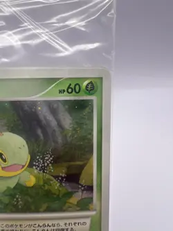 Pokemon Card Turtwig Chimchar Piplup #001/PPP Fan Club Play Promo Sealed - Image 4