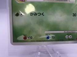 Pokemon Card Turtwig Chimchar Piplup #001/PPP Fan Club Play Promo Sealed - Image 5